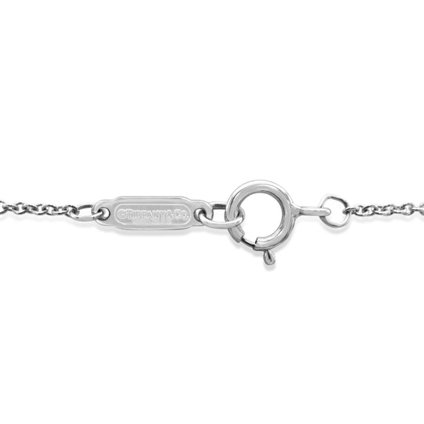 Tiffany Co Jean Schlumberger 16 Stone Circle Pendant Necklace